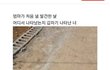 갑자기 나타난 강아지