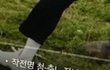 작전명 청-춘!