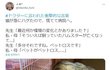 고양이가 탈모증세가 있어서 병원가보니