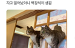자고 일어났더니 벽장식이 생김ㅋㅋ