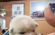 왜 화났는지 한번 말해봐.jpg