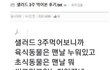 샐러드를 3주간 먹은 후기