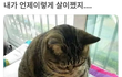 ㅠㅠㅠㅠ