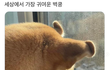 벽쿵! 심쿵!