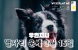 별자리 운세 2024년 3월 15일 [우연지사]