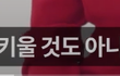 여자들이 애 안낳는 이유