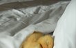 너네 귀여운 거 미처 몰라줘서 미안!