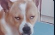 나 궁금한게 생겻음 너네 본진이