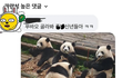 너무 웃어서 눈물이 난다 ㅋㅋㅋㅋㅋ