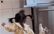 웃긴 고양이 사진 투척