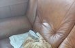 오늘의 톡