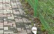 오늘의 톡