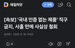 직구 금지 철회한대