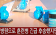 오늘 훈련병 수류탄 터져서 1명 죽음