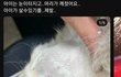 학대범 너 찾아서 가만안둔다.