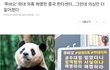 푸바오 학대 받고 있는 것 같아..