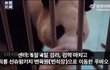 검역 한달만에 누더기된 푸바오