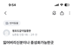 회색 품종묘 유기아이 가족이 되어주실분