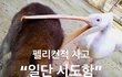 멤버 두명 뭔일있었던걸까
