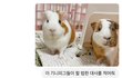 대학 학과 비하 절대 아닌데 궁금한 거 있음