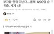 부자들 이민 러쉬