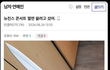 디씨에 올라온 뉴진스 테러
