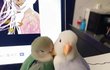 우리를 방해하지 마세요.jpg