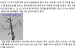 우리 집 앞에 3상 4선식 전기의 연결방법