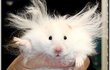 내 말 좀 들어보게나 이번 연구가 말일세