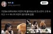 아이들 전소연 왜 이러냐