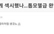 선미 악플러
