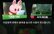 록라식 애니팡