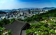 달마사