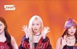 윈터 시구 개아쉬움