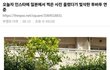 광복절에 일본 사진 올린 투바투 연준
