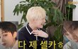 엔선우 포카시세