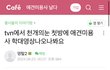 반려견미용