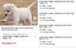 "반려견 14만원에 팝니다"…쿠팡 반려견 판매글 논란