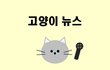 중랑구 고양이 쉼x 알고보니 신종 펫샵