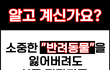 반려동물 실종 전단지 부착 허용 및 관련 제도 개선 요청에 관한 청원
