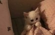 다들 잘자 ~ ㅎ