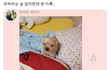 외박하는 날 엄마한테 온 카톡 ㅠㅠㅠ