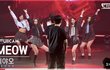 미야오는 라이브 언제해?