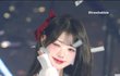 장카설의 그 '장'