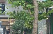 미사역 강아지 함부로 대하지 마세요