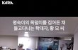 고양이 명숙이 학대자 엄벌탄원 해주세요 [부산시 사하구 사건발생]