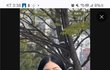 키오프 하늘 턱 시술한거야??