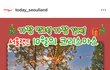 서울랜드 오후권 써본사람ㅠ