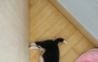 오늘의 톡