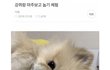자기얼굴이 한소희 외국인이라고
